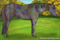Horse Color:Nacre Black