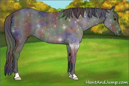 Horse Color:Nacre Black Rabicano