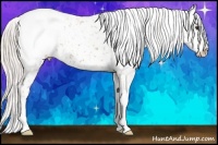 Horse Color:Silver Bay Snowflake Varnish