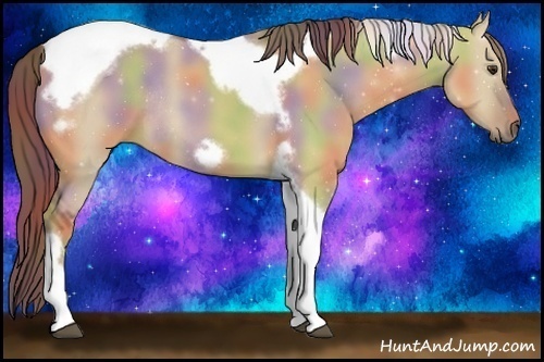 Horse Color:Nacre Red Dun Tobiano Frame Rabicano