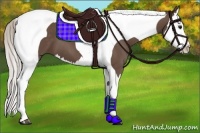 Horse Color:Silver Black Splash Tobiano