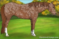 Horse Color:Chestnut Ice 
