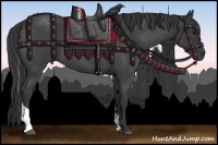 Horse Color:Blue Roan Tobiano