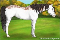 Horse Color:Bay Ice Splash 