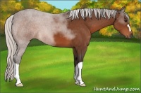 Horse Color:Silver Bay 