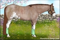 Horse Color:Red Roan Sabino