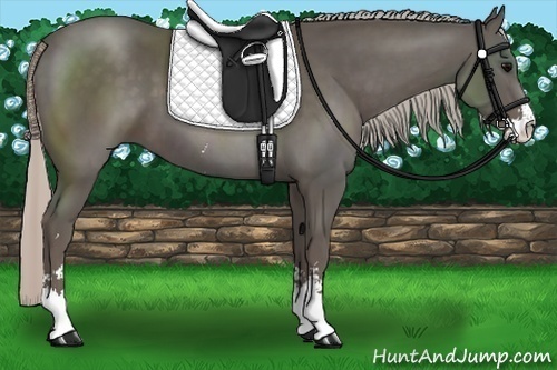 Horse Color:Silver Black Sabino