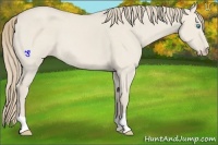 Horse Color:Smoky Creme Dun 