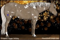Horse Color:White Spotted Silver Smoky Black