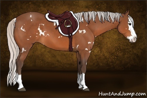 Horse Color:White Spotted Silver Bay Splash 