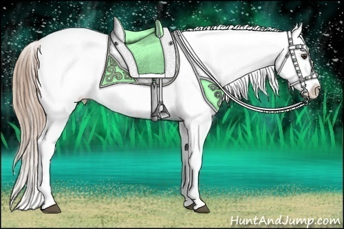 Horse Color:White Spotted Chestnut Appaloosa 