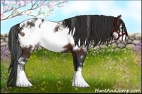 Horse Color:White Spotted Bay Sabino Frame Appaloosa