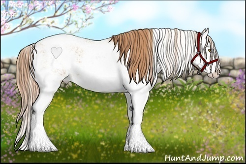 Horse Color:Gold Champagne Sabino Splash Varnish 