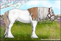 Horse Color:Gold Champagne Sabino Splash Varnish