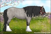 Horse Color:Grullo Roan Splash 