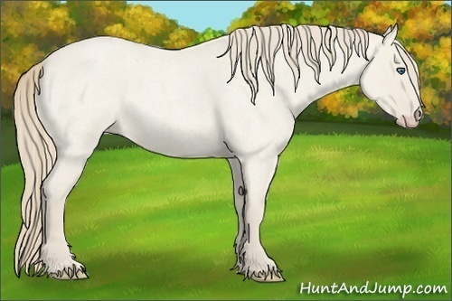 Horse Color:Smoky Creme Roan Dun