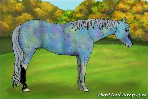 Horse Color:ERROR: UNKNOWN ANOMALY