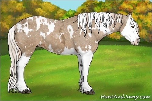 Horse Color:White Spotted Palomino Ice Splash Varnish
