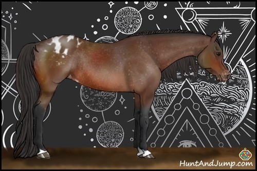 Horse Color:Bay Varnish Rabicano 