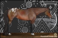 Horse Color:Bay Varnish Rabicano 
