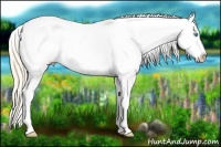 Horse Color:White Spotted Perlino Sabino Varnish 