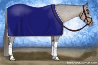 Horse Color:Liver Chestnut Appaloosa