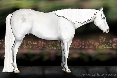 Horse Color:White Spotted Cremello Dun 