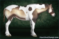Horse Color:Liver Red Onyx Roan Tobiano 