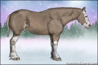 Horse Color:Chocolate Palomino Ice Sabino Splash