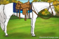 Horse Color:Silver Blue Roan Splash Appaloosa 