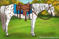 Horse Color:Brown Dun Near Leopard