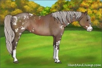 Horse Color:Silver Black Sabino 
