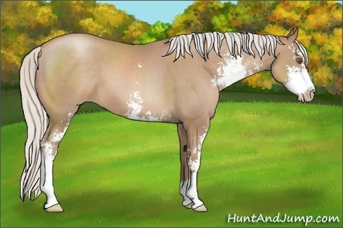 Horse Color:Silver Black Pearl Sabino