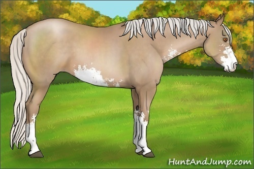 Horse Color:Silver Black Pearl Sabino