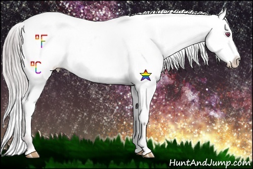 Horse Color:Chocolate Sable Champagne Chinchilla Appaloosa Rabicano 