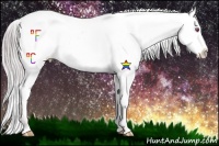 Horse Color:Chocolate Sable Champagne Chinchilla Near Fewspot Rabicano 