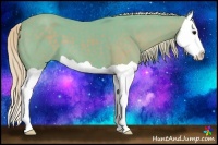 Horse Color:Watercolor Silver Black Splash