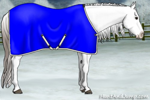 Horse Color:Buckskin Varnish