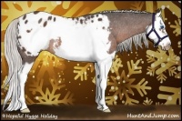 Horse Color:Silver Bay Splash Frame Appaloosa Rabicano 