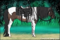 Horse Color:Bay Roan Tobiano Rabicano 