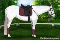 Horse Color:Smoky Black Appaloosa 