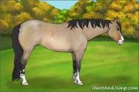 Horse Color:Bay Roan Dun Sabino 