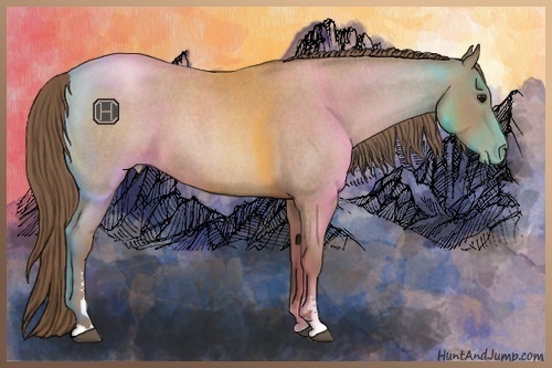 Horse Color:Blue Roan Pearl Sabino 