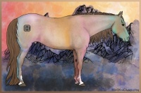 Horse Color:Blue Roan Pearl Sabino