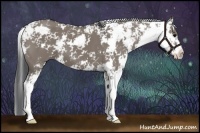 Horse Color:Grullo Sabino 