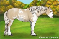 Horse Color:Silver Grullo Pearl Sabino
