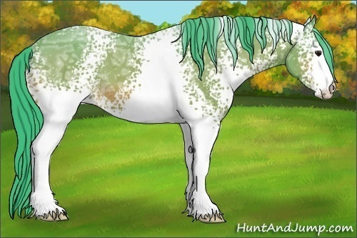 Horse Color:Watercolor White Spotted Bay Ice 