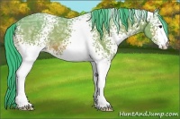 Horse Color:Watercolor White Spotted Bay Ice