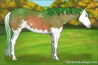 Horse Color:Watercolor Bay Sabino Splash