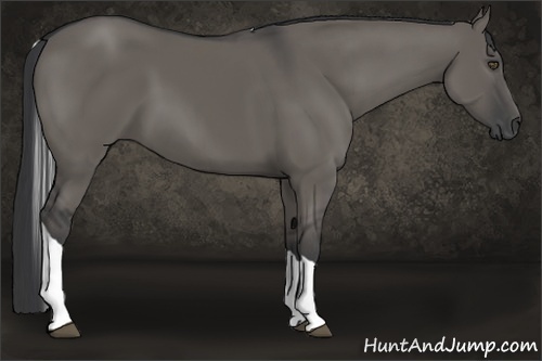 Horse Color:Grullo Tobiano Rabicano